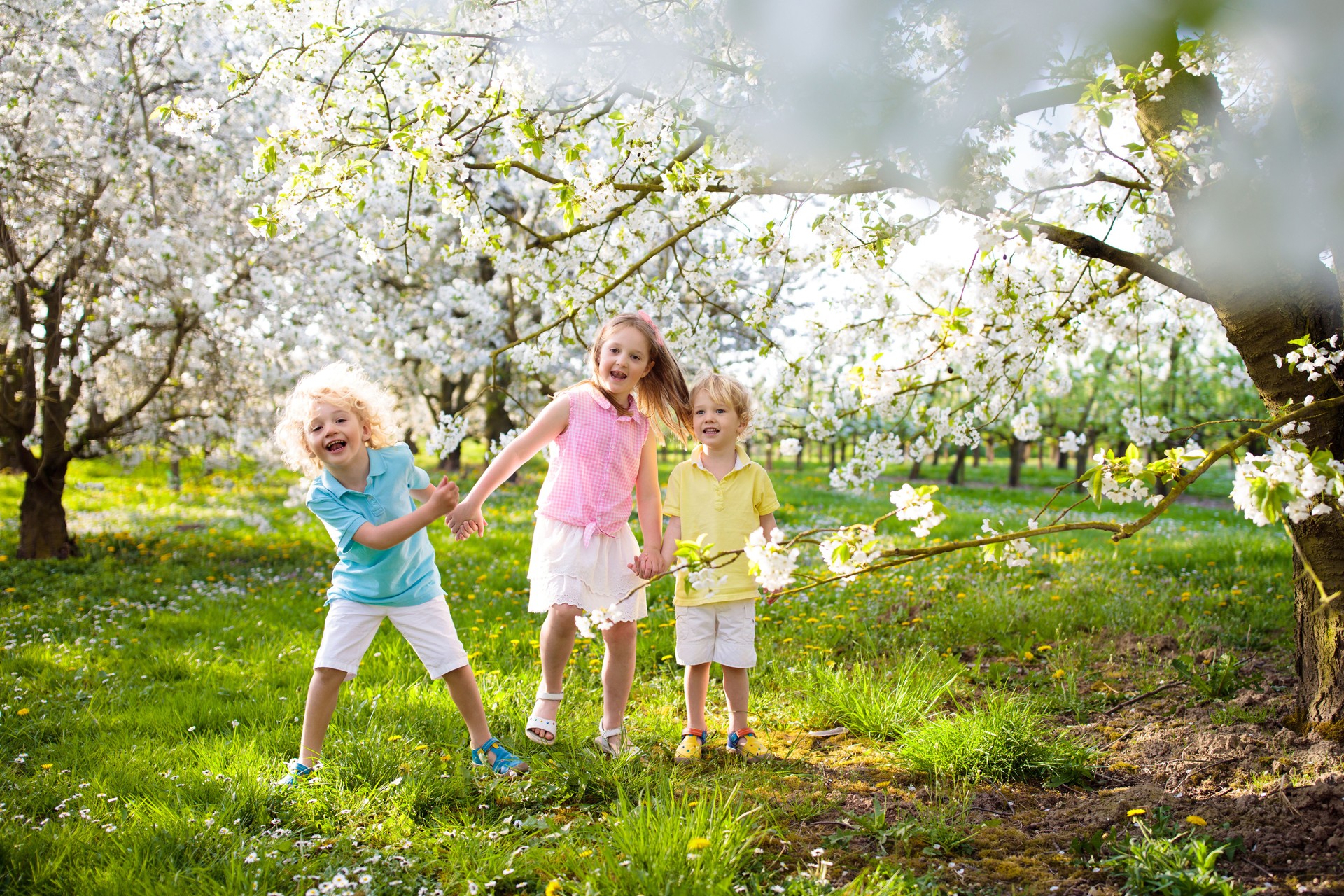 Kids in spring park. Child at blooming cherry tree